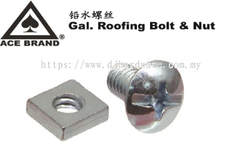 ACE GAL ROOFING BOLT & NUT (WS)