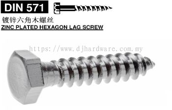 MISC ZINC PLATED HEXAGON LAG SCREW  JPG 1(WS)