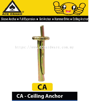 ACE CA CEILING ANCHOR (WS)