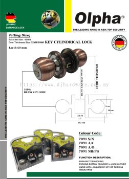 OLPHA THE LEADING NAME IN ASIA TOP SECURITY KEY CYLINDRICAL 7091NB PB (LSK)