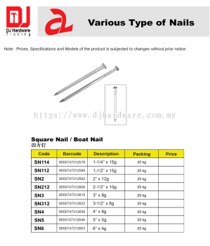 VARIOUS TYPE OF NAILS SQUARE NAIL BOAT NAIL SN2 9555747312592 (CL)