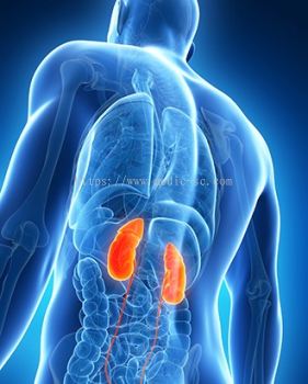 Kidney Diseases