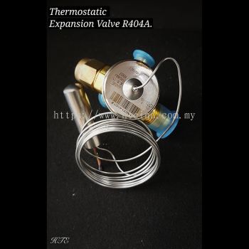 Thermostatic Expansion Valve R404A
