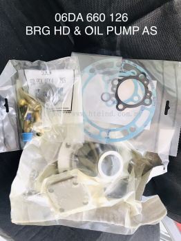 BRG HD & OIL PUMP GAS 06DA 660 126