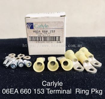 06EA 660 153 Terminal Ring Pkg