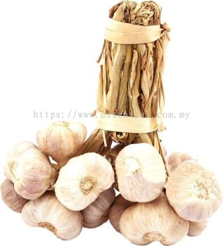 Bunch Garlic