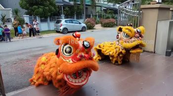 Opening Lion Dance 开幕舞狮