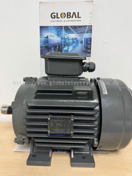 TECO Induction Motor