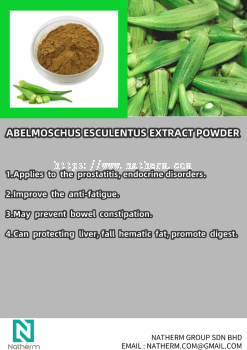 abelmoschus esculentus extract powder