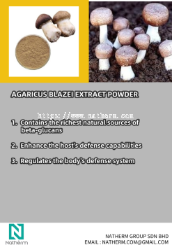 AGARICUS BLAZEI EXTRACT POWDER