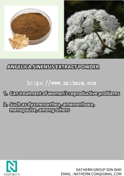 ANGELICA SINENSIS EXTRACT POWDER