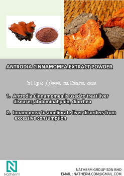 ANTRODIA CINNAMOMEA EXTRACT POWDER