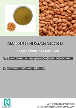 APRICOT SEED EXTRACT POWDER