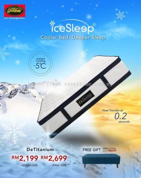 Exclusive Set Goodnite Mattress with Bedframes Set Katil dengan tilam Offer Queen King - DeTitanium 