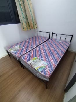 Single Metal Bedframe | Katil Besi Bujang Asrama | Single Mattress Tilam Asrama Murah | Hostel Furniture Supplier | Pembekal Perabot Asrama | KL | Penang | Kedah |  Perak