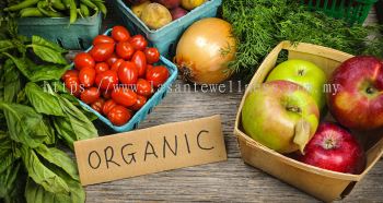 Organic Food �л�ʳƷ