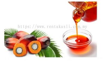 RBD Palm Oil CP10