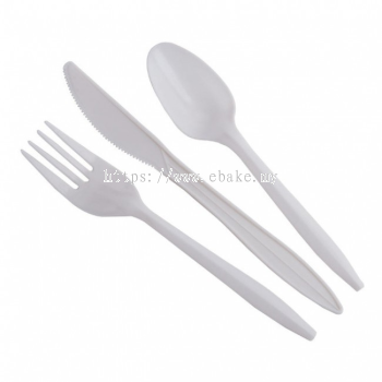 Disposable White Plastic Spoon 