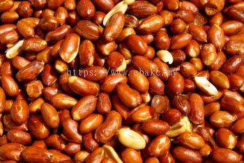 Peanut / Kacang Tanah India