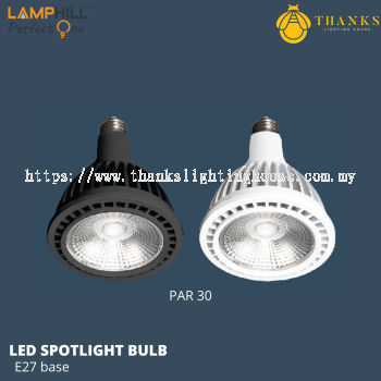 PAR30 E27 LED Spotlight Bulb