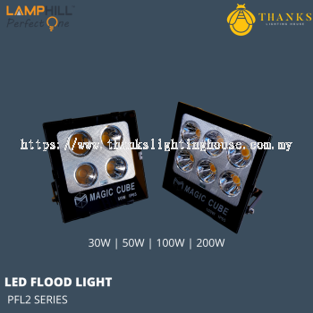 PFL2 30W 50W 100W 200W LED Flood Light