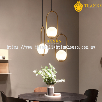 ZC-6016 Single Head Pendant Light