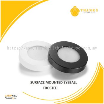 PERFECT ONE LED EYEBALL SURFACE DOWNLIGHT