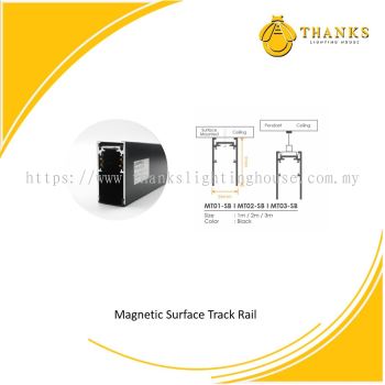 Magnetic Track Rail Surface