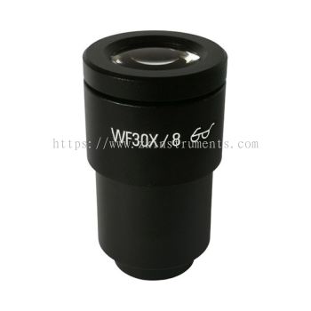 Eyepiece WF30X/8