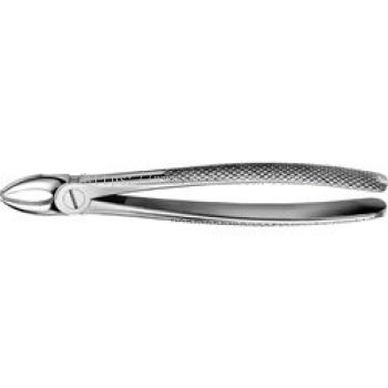 Extraction Forceps DG 101 (Code:172)