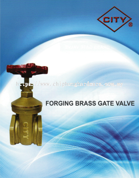 City Forging Brass Gate Valve