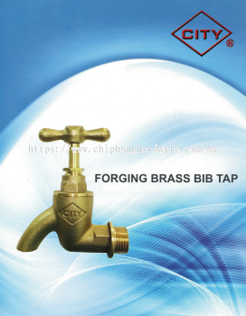 City Forging Brass Bib Tap