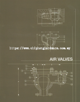 LYE Air Valves
