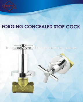 City Forging Concealed Stop Cock