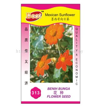 313  Mexican Sunflower īտ