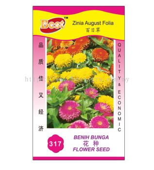 317  Zinia August Folia ղ