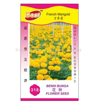 318  French Marigold پ