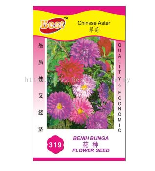 319 花种 Chinese Aster 翠菊