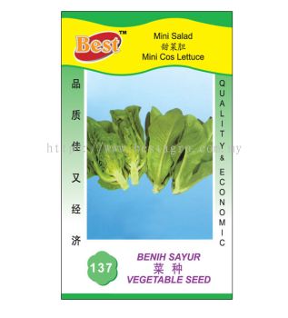 137 菜种 Mini Cos Lettuce 甜菜胆