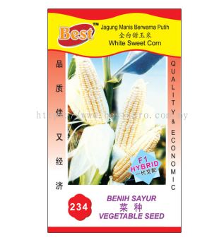 234 菜种 White Sweet Corn 全白甜玉米