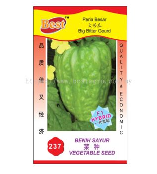 237 菜种 Big Bitter Gourd 大苦瓜