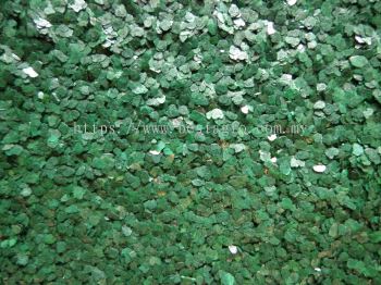 F09 Green EPOXY COLOUR FLAKE COATING  ɫƬͿ