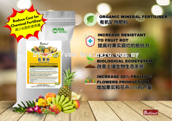 Fruitful Bloom Organic Fertilizer   High-Yield Growth Booster for Fruits & Flowers (500g)