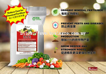 Vege Plant Boost  蔬果壮有机肥   高产果蔬生长促进剂 (500g)