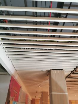 50x100 Baffle Ceiling with 325 Panel