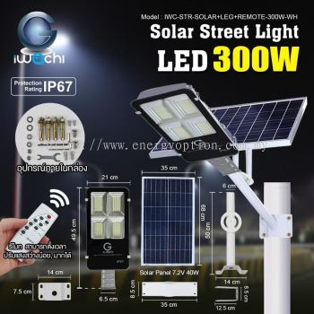 Iwachi LED (Split) Solar Street Light