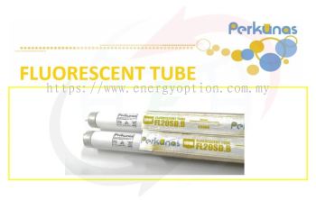 Perkunas LED T8 Fluorescent Tube