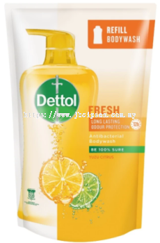 Dettol Body wash 450ml refil pack Fresh