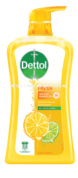 Dettol Body Wash Fresh 500g