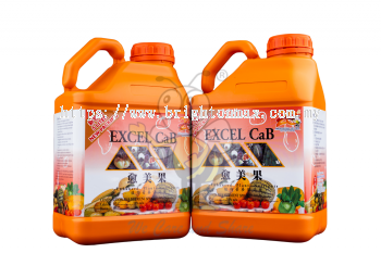 Excel CaB (5L)